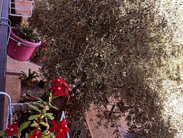 Bella Casetta Guest House Gazimağusa Dış mekan fotoğraf
